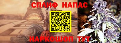 мдпв Тверь