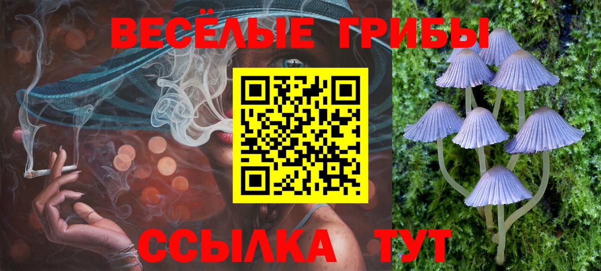Нижнекамск  Галлюциногенные грибы GOLDEN TEACHER  Галлюциногенные грибы прущие грибы  Вход с VPN 