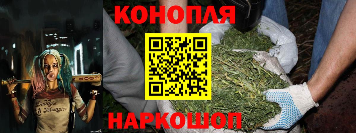 Канабис сатива Нижнекамск